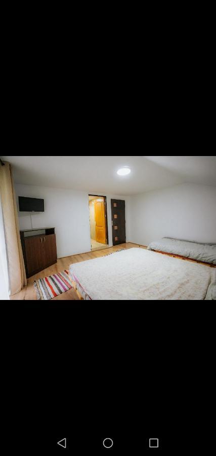 Casa Pietrosu Rodnei Hotel Borsa  Ngoại thất bức ảnh