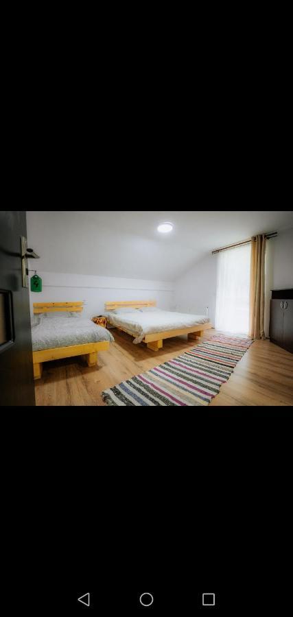 Casa Pietrosu Rodnei Hotel Borsa  Ngoại thất bức ảnh