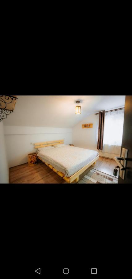 Casa Pietrosu Rodnei Hotel Borsa  Ngoại thất bức ảnh