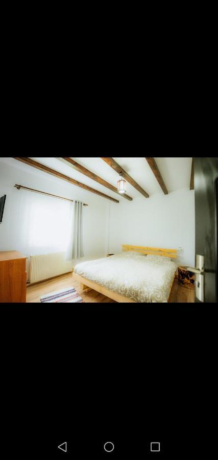 Casa Pietrosu Rodnei Hotel Borsa  Ngoại thất bức ảnh
