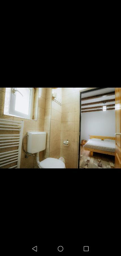 Casa Pietrosu Rodnei Hotel Borsa  Ngoại thất bức ảnh