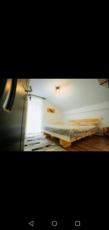 Casa Pietrosu Rodnei Hotel Borsa  Ngoại thất bức ảnh